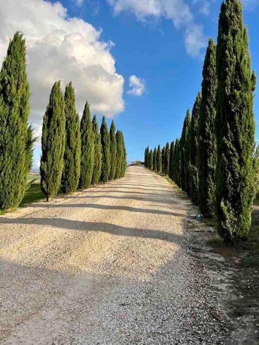 Toscana Amore Mio, Stunning View & 14Min Volterra Montecatini Val di Cecina Exterior photo